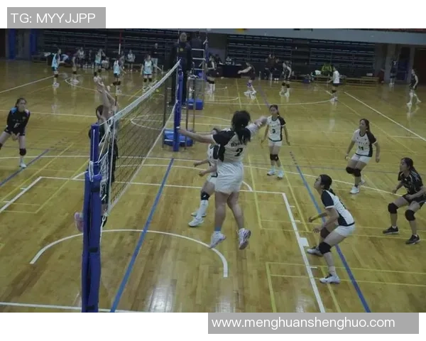 杭州排球队的默契配合与战术探讨聚焦排球的团队协作之道