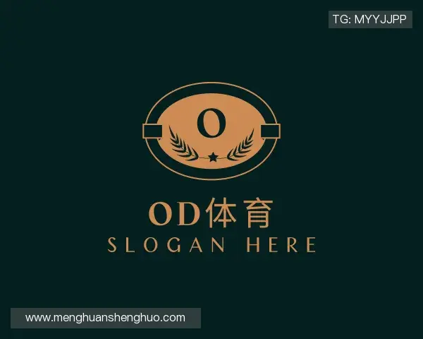 介绍OD体育官网